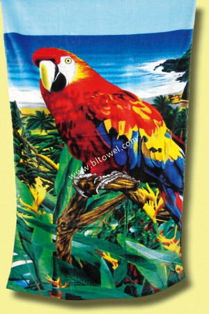 Beach Towel